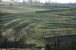 Medieval Ridge and Furrow above Wood Stanway, Gloucestershire, England.