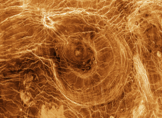 Arachnoid surface feature on Venus