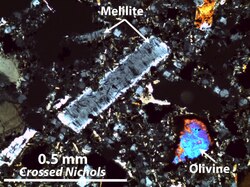 Crossed polarized light image of melilite in Moiliili lava flow, Moiliili Quarry, Honolulu, O‘ahu, Hawai‘i surrounded by matrix of granular nepheline and volcanic glass. This rock (nepheline-melilite basalt) was erupted during rejuvenated volcanism on O‘ahu.