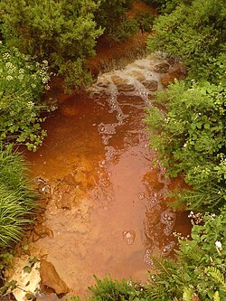 Acid mine drainage from the disused Parys Mountain copper mines