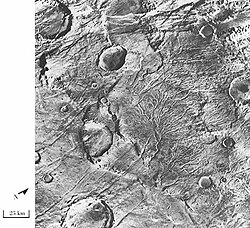 Branched valley network of Warrego Valles (Thaumasia quadrangle), as seen by Viking Orbiter. Valley networks like this provide some of the strongest evidence that surface runoff occurred on early Mars.[50]
