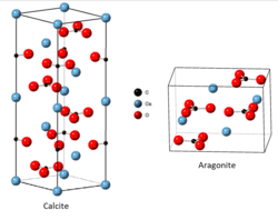 Crystal structure of calcite and aragonite