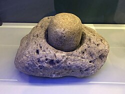 Stone mortar and pestle used for grinding corn and grains, AD 900–1300, Spurgeon Draw site, Catron County, New Mexico