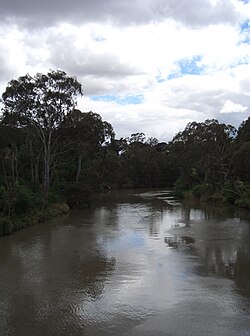 The Yarra River, as seen from Kanes Bridge near the Studley Park boathouse
