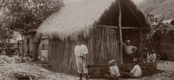 The cepo as photographed by Charles Kroehle in the Peruvian Amazon, circa 1888.