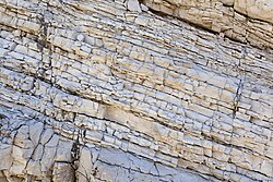 Tuffaceous sandstone layers in New Mexico