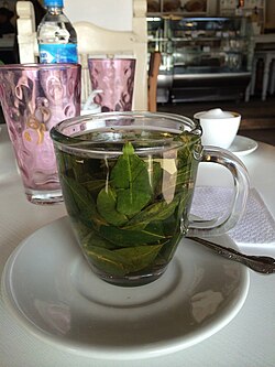 A cup of mate de coca served in a coffee shop in Cuzco, Peru