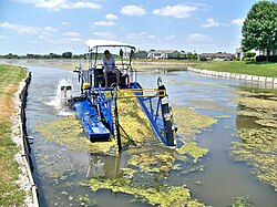 Harvesting algae