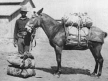 A Buffalo Soldier. The nickname was given to the black soldiers by the native tribes they controlled.