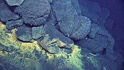 Boninite pillow lavas at West Mata