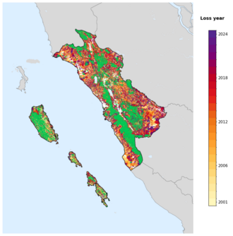 Map of West Sumatra showing tree-cover loss years, with forest remaining since 2000 in green and loss years shaded yellow through purple.