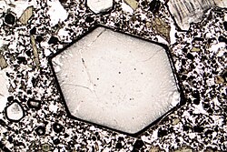 A volcanic rock from Italy with a relatively large six-sided phenocryst (diameter about 1 mm) surrounded by a fine-grained groundmass, as seen in thin section under a petrographic microscope