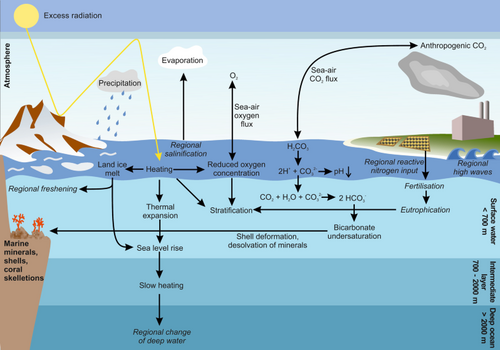 Overview of climatic changes and their effects on the ocean. Regional effects are displayed in italics.[95]