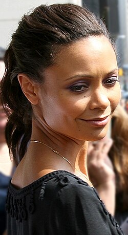 Newton in 2007