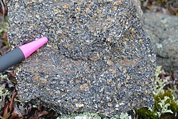 Example of a rhyolitic vitrophyre; large phenocrysts are set in the black glassy matrix