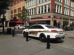 A Ford Taurus and a Chevrolet Impala belonging to the Pittsburgh Police